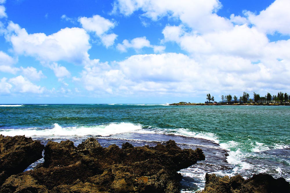 Photo of Others in Honolulu County