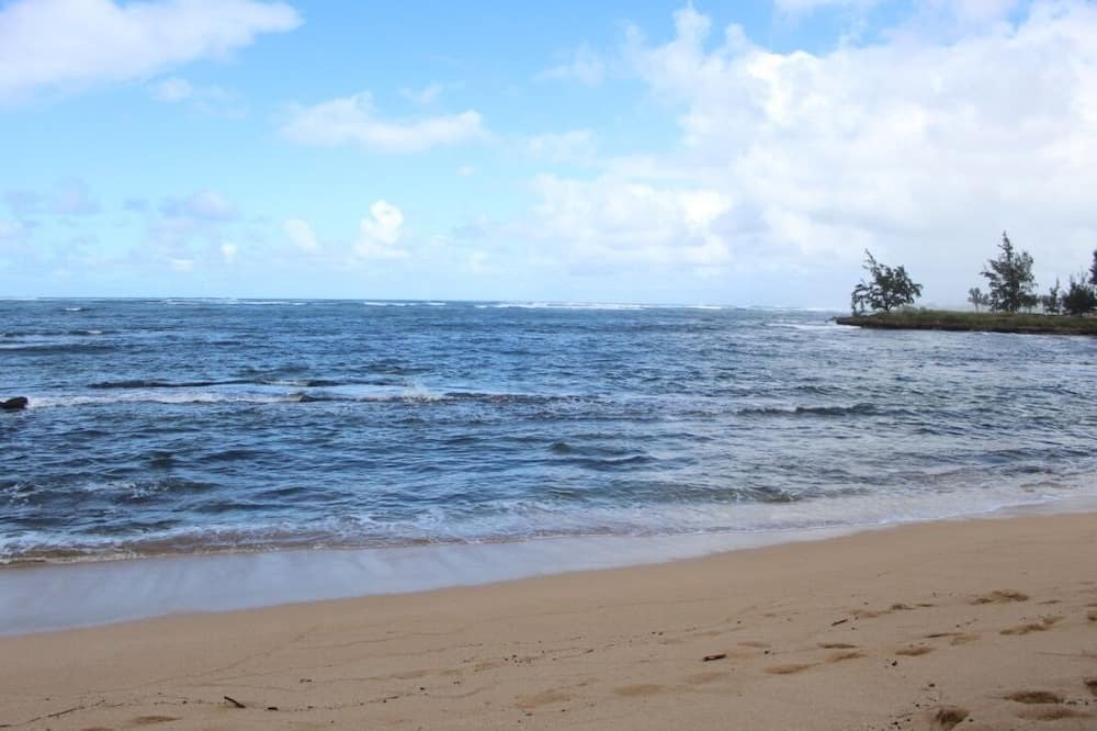 Photo of Others in Honolulu County