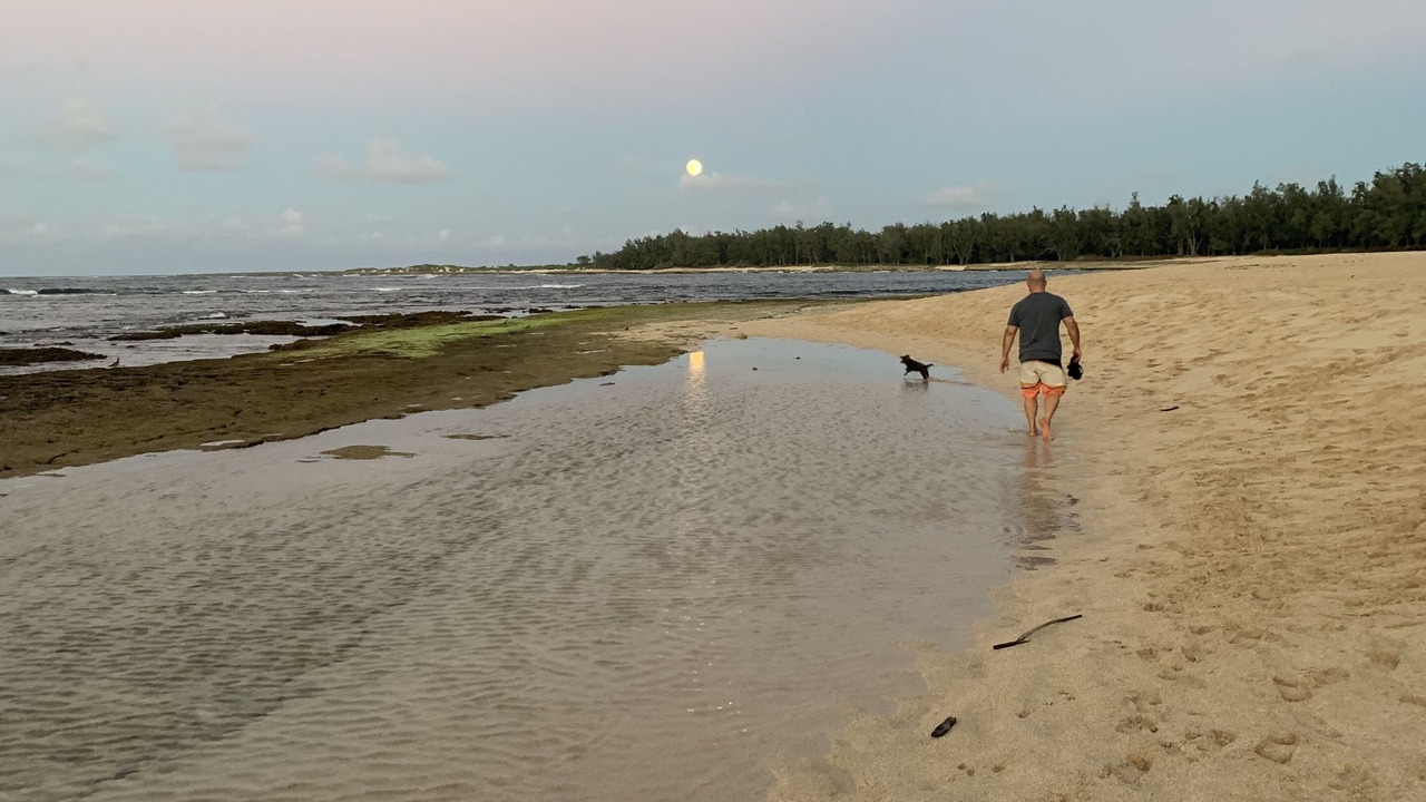 Photo of Others in Kahuku