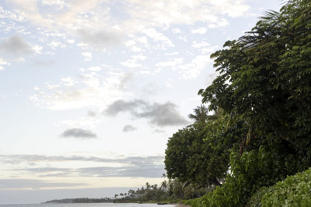 Photo of Others in Waialae Iki Ridge