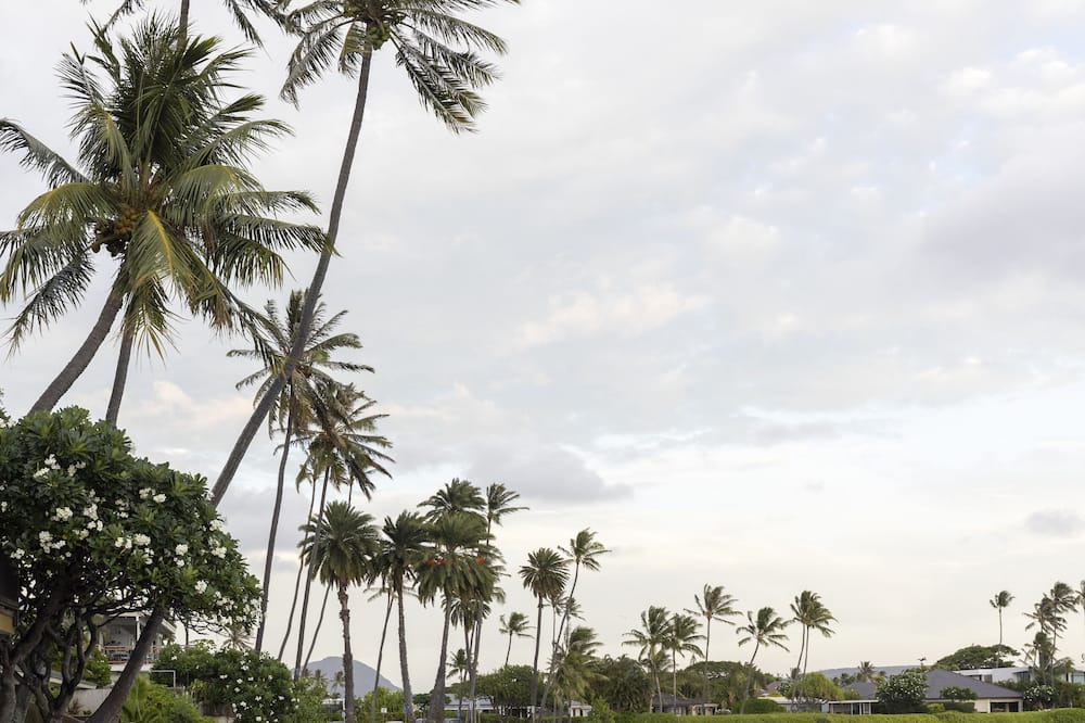 Photo of Others in Waialae Iki Ridge