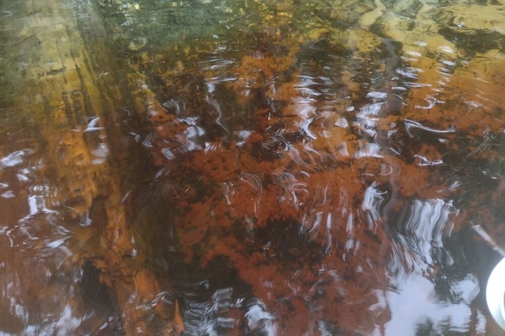 Photo of Outdoor in Chassahowitzka