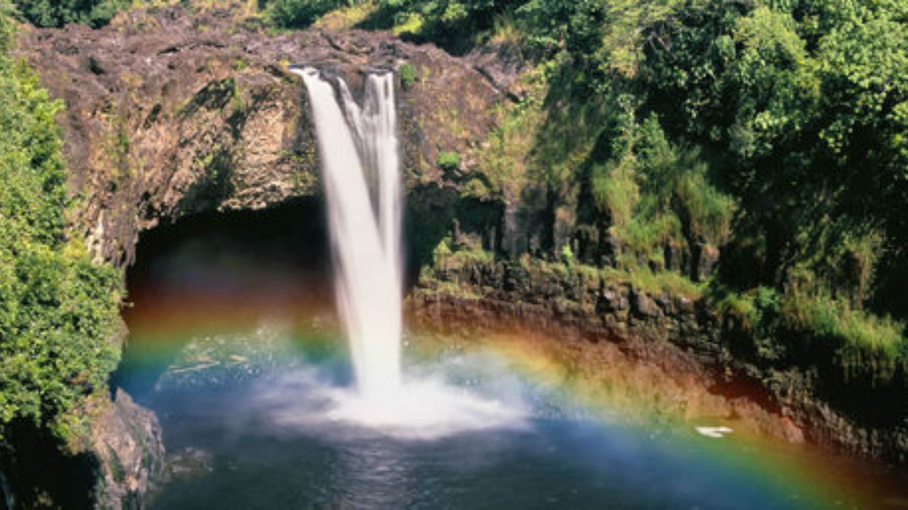 Photo of Outdoor in Hilo