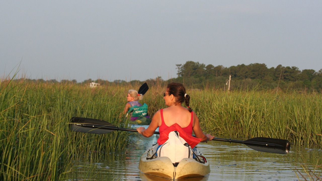 Photo of Others in Darien