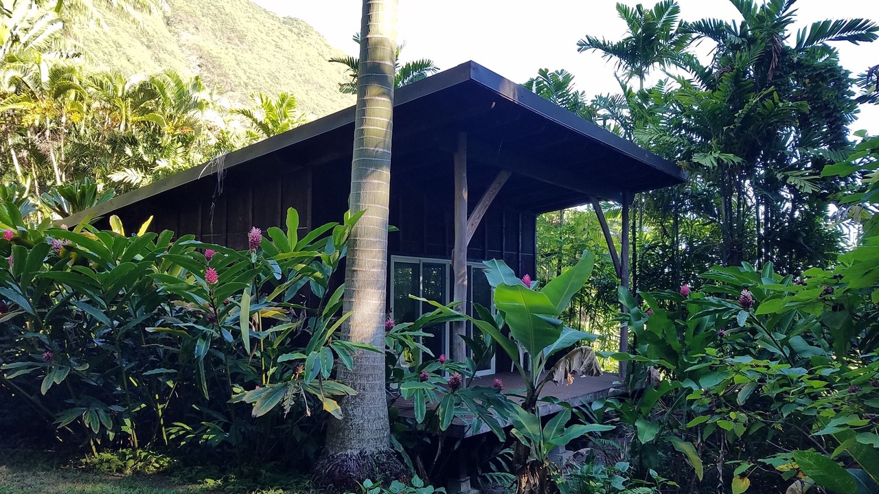 Photo of Outdoor in Waipio