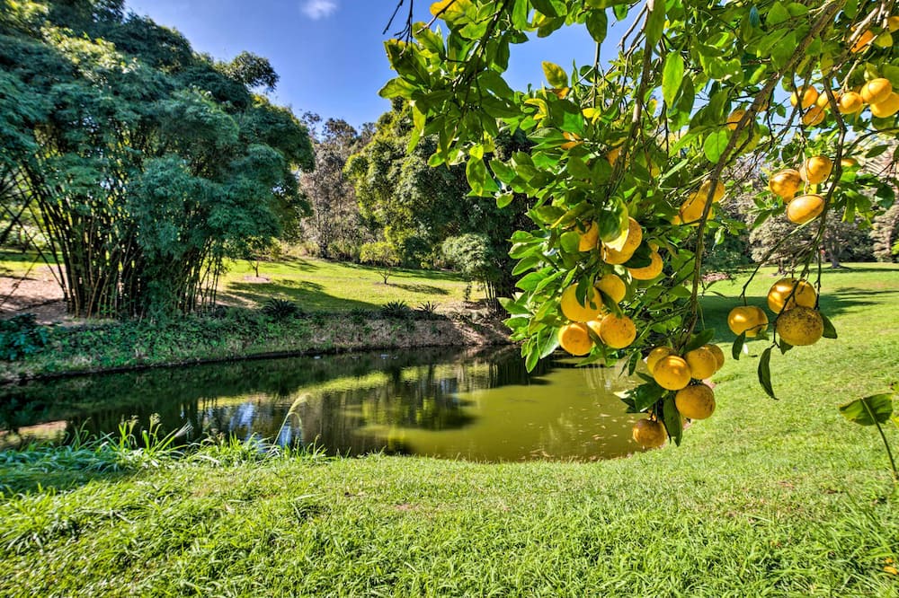 Photo of Others in Honokaa