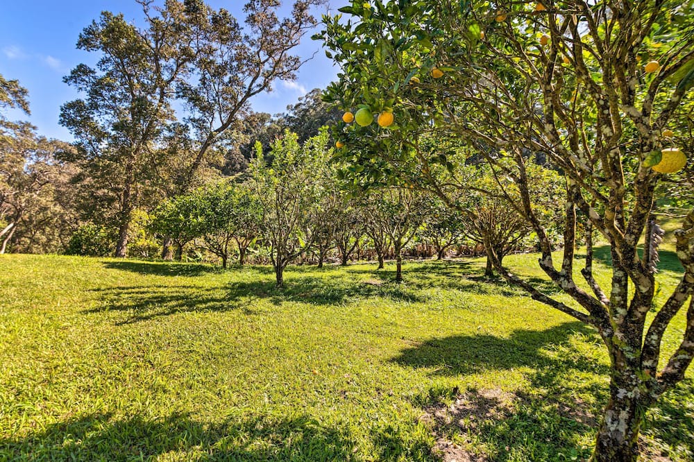 Photo of Outdoor in Honokaa