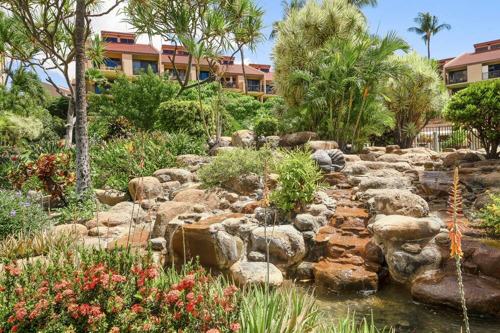 Photo of Outdoor in Kihei