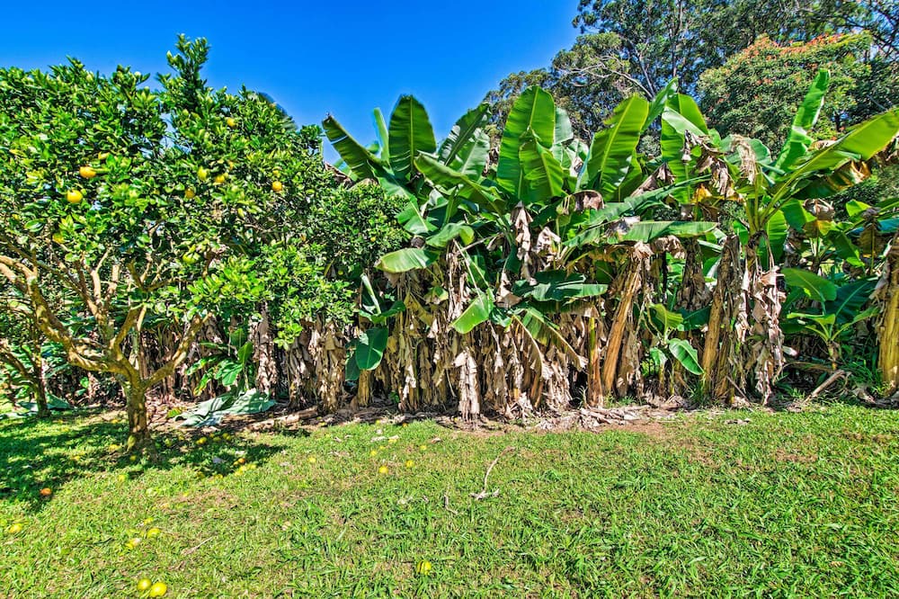 Photo of Outdoor in Honokaa