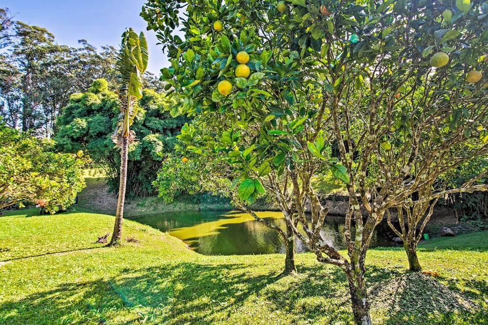 Photo of Outdoor in Honokaa