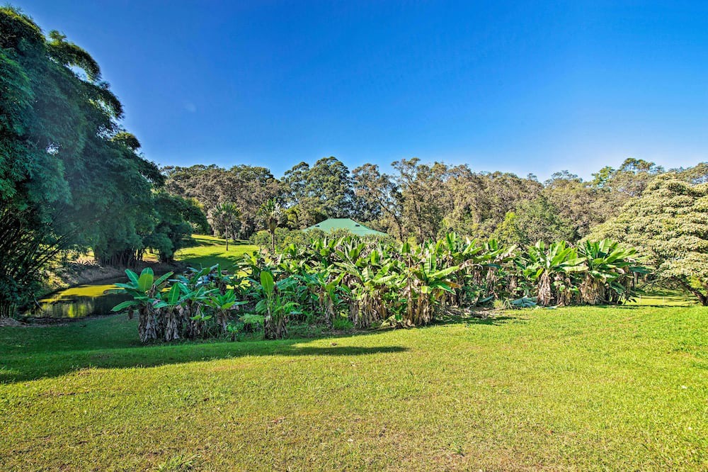 Photo of Outdoor in Honokaa