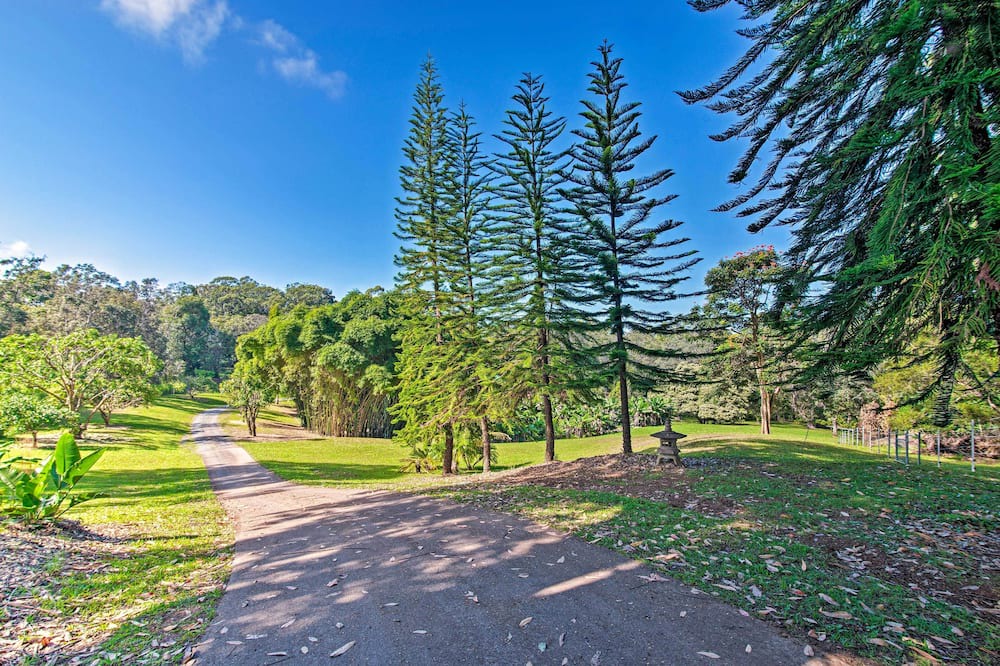 Photo of Outdoor in Honokaa