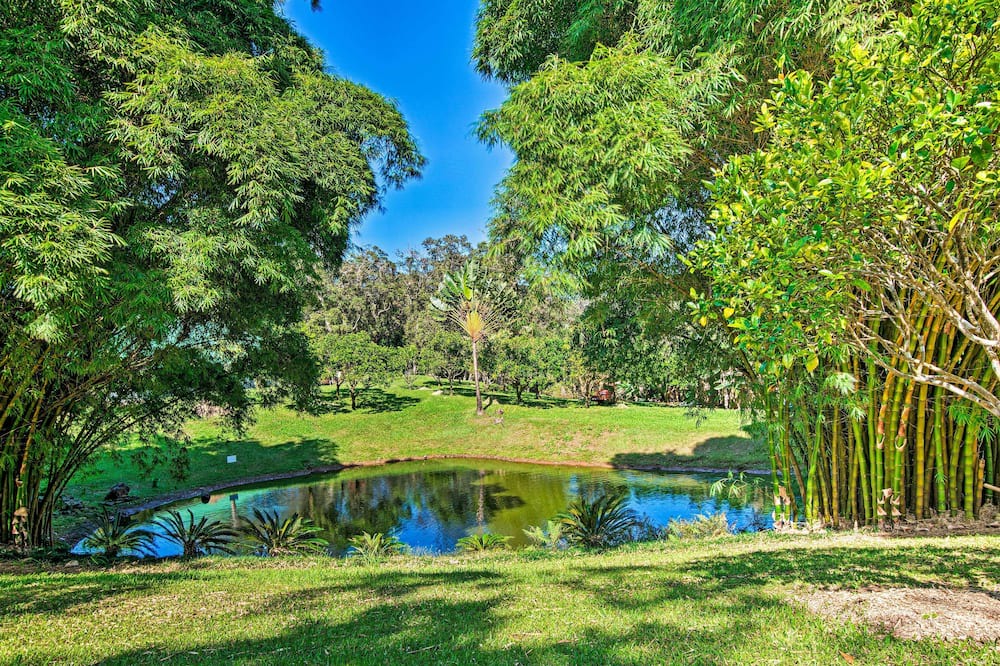 Photo of Outdoor in Honokaa