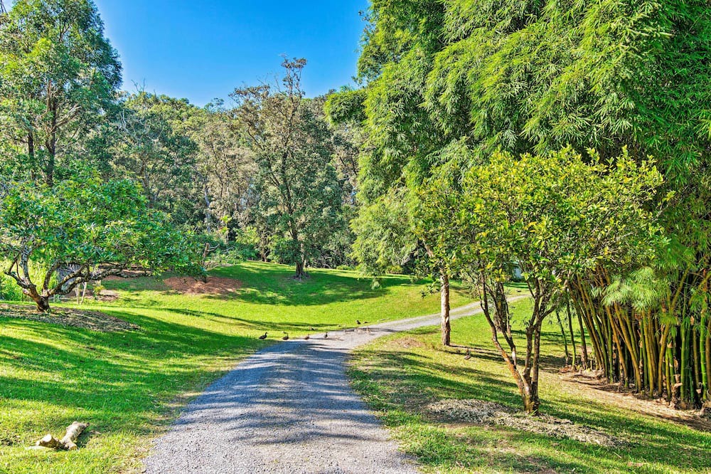 Photo of Outdoor in Honokaa