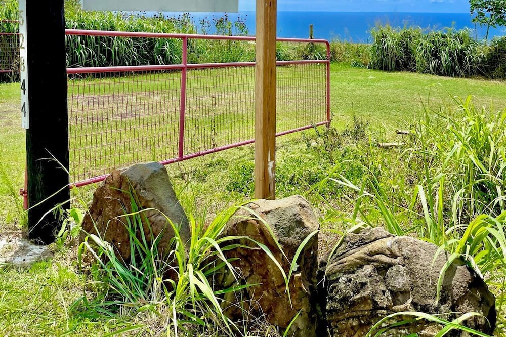 Photo of Others in Naalehu