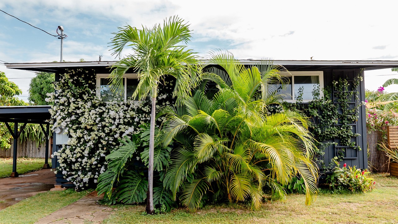 Photo of Outdoor in Ewa