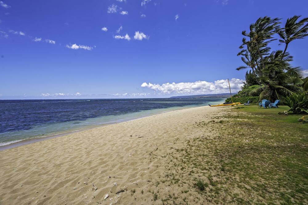 Photo of Others in Mokuleia