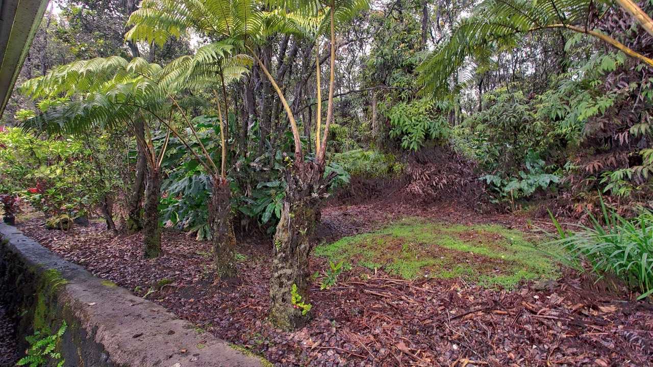 Photo of Others in Ohia Estates