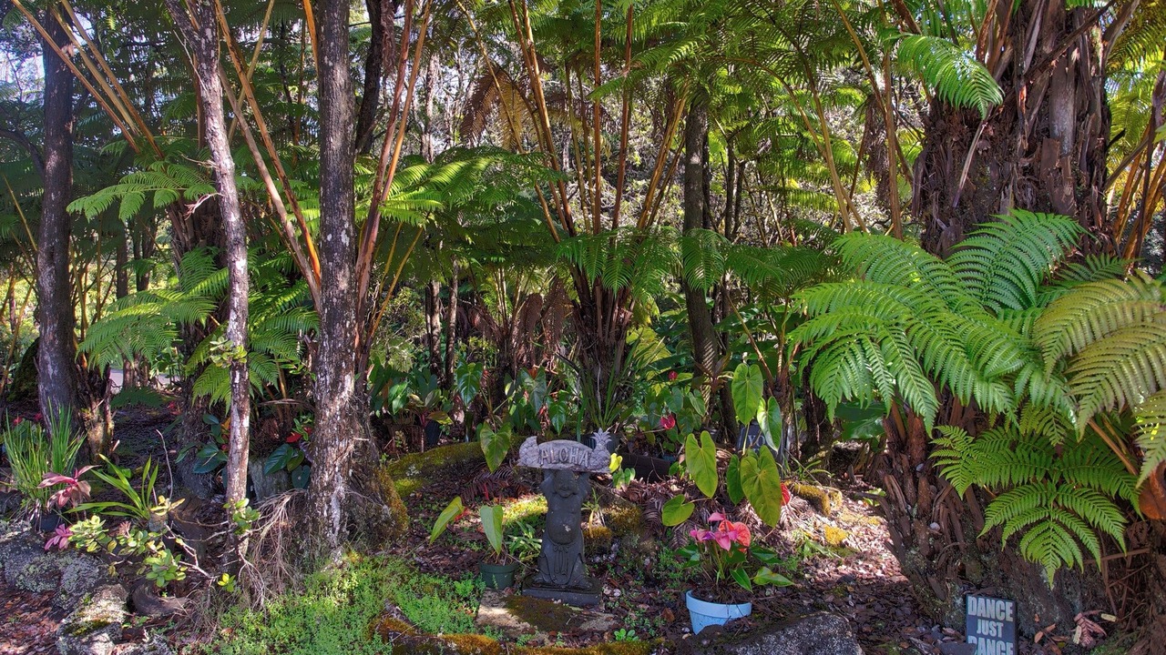 Photo of Others in Ohia Estates
