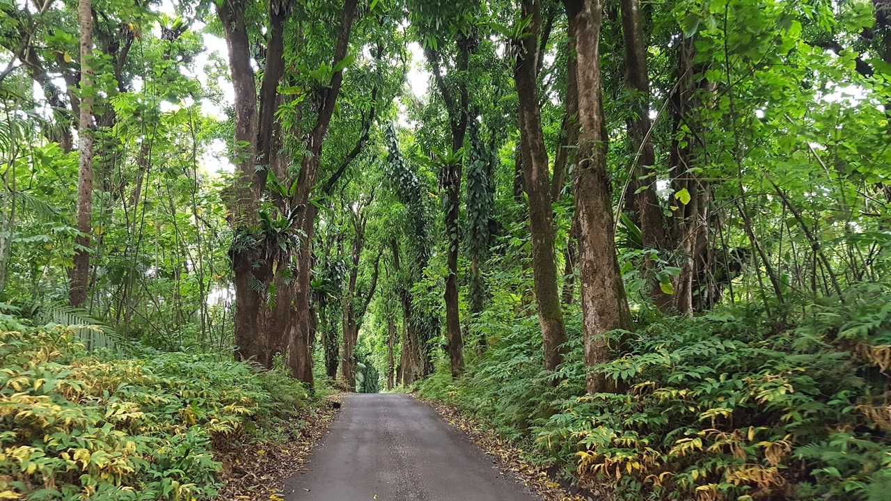 Photo of Others in Royal Hawaiian Estates