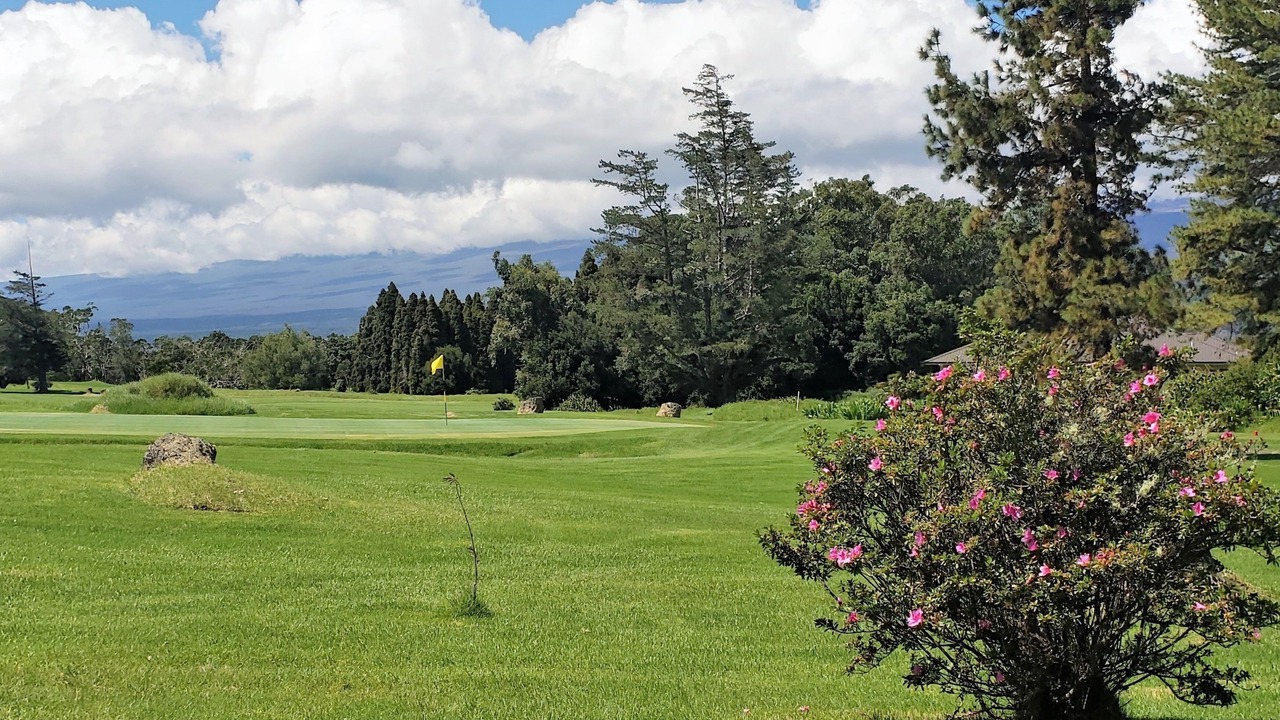 Photo of Others in Royal Hawaiian Estates