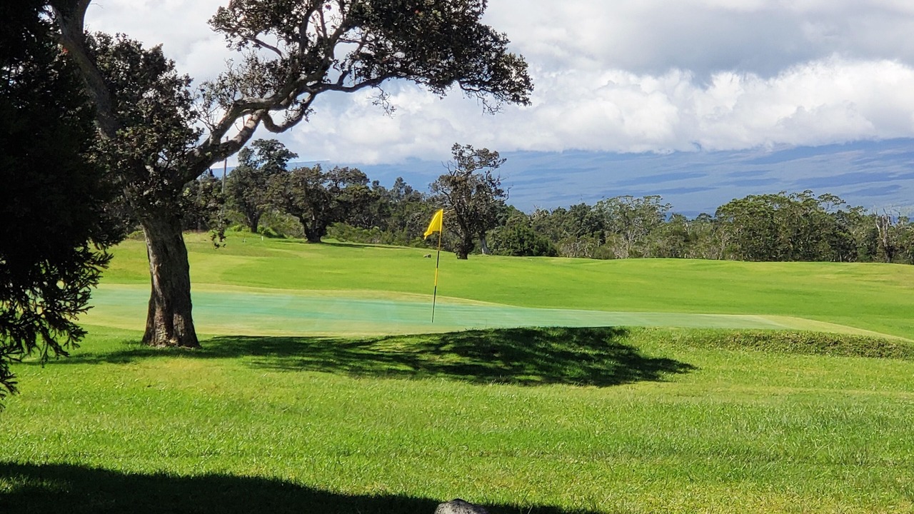 Photo of Others in Royal Hawaiian Estates