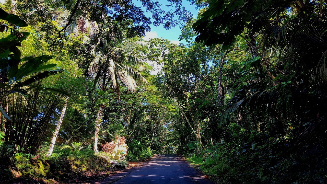 Photo of Others in Keaau
