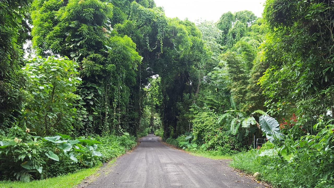 Photo of Others in Keaau