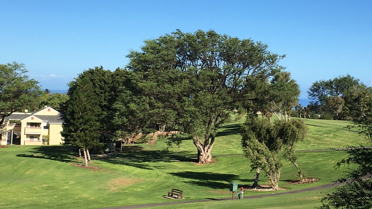 Photo of Others in Waikoloa