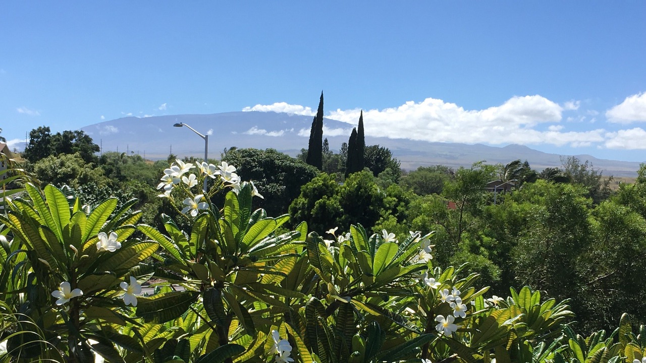 Photo of Outdoor in Waikoloa