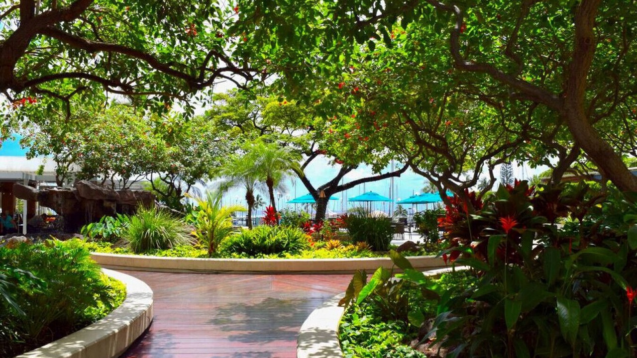 Photo of Outdoor in Waikiki