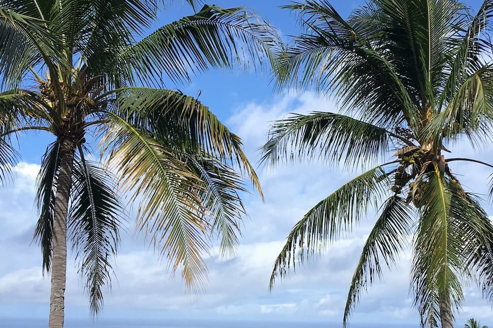 Photo of Outdoor in Honaunau-Napoopoo