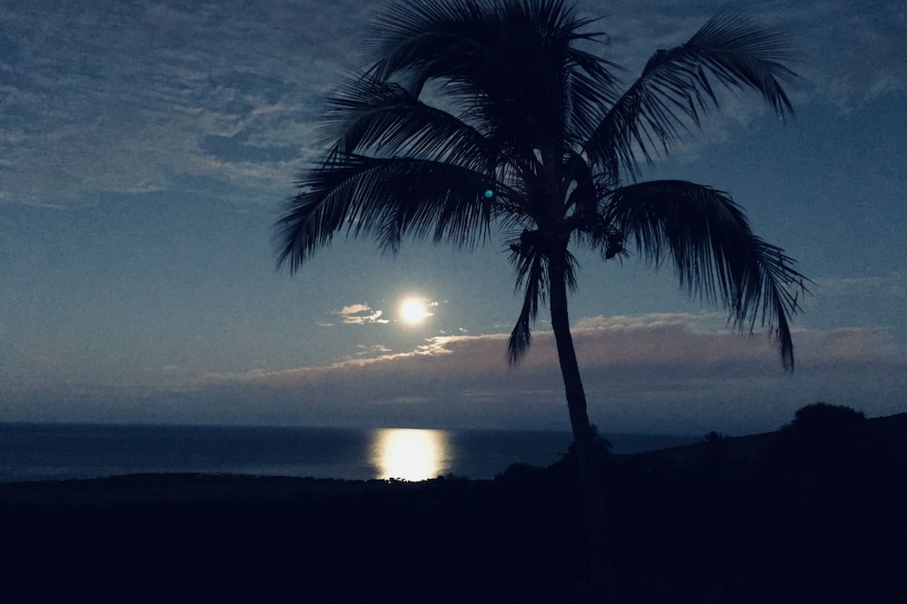 Photo of Outdoor in Honaunau-Napoopoo