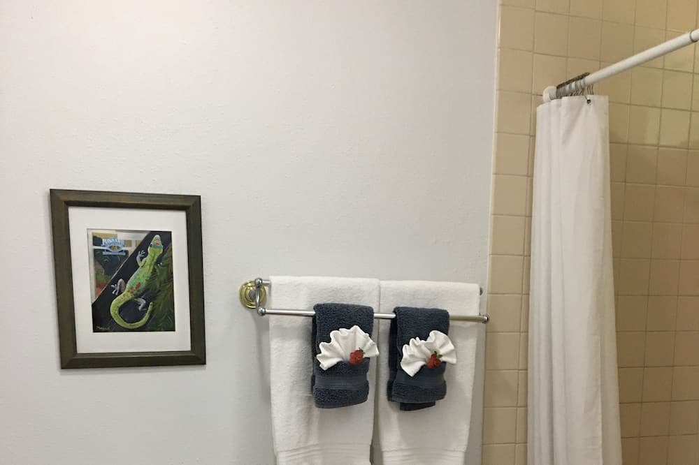 Photo of Bathroom in Honaunau-Napoopoo
