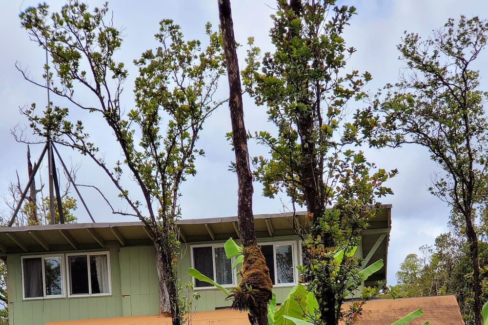 Photo of Outdoor in Pahoa