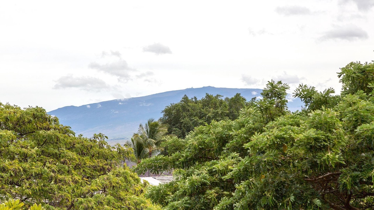 Photo of Outdoor in Kamuela