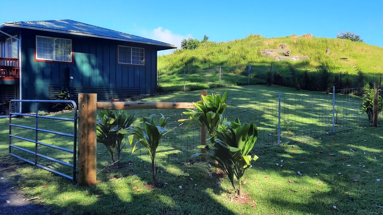 Photo of Outdoor in Kamuela