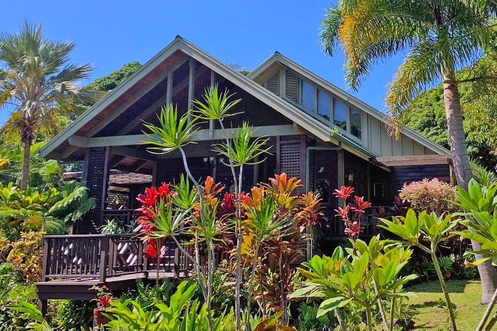 Photo of Outdoor in Waiohinu