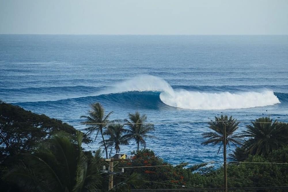 Photo of Others in Pupukea