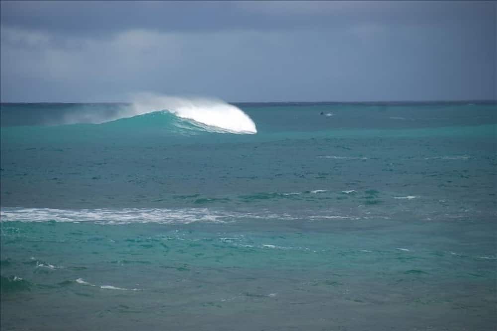 Photo of Others in Pupukea