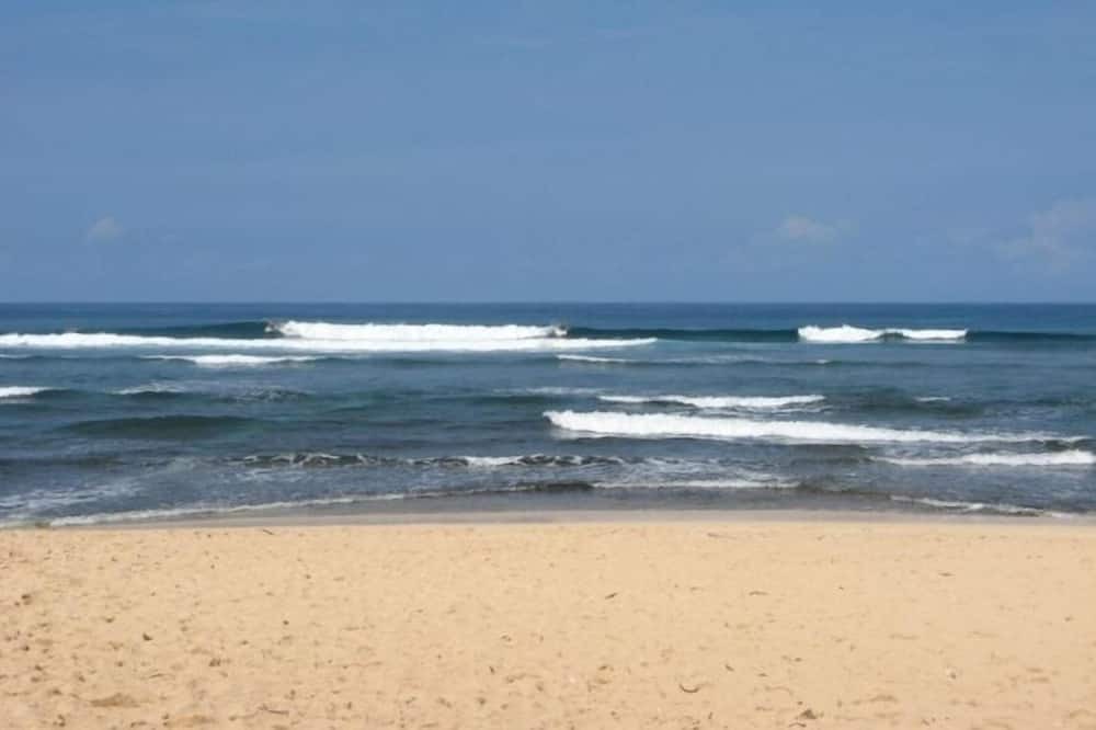 Photo of Others in Pupukea