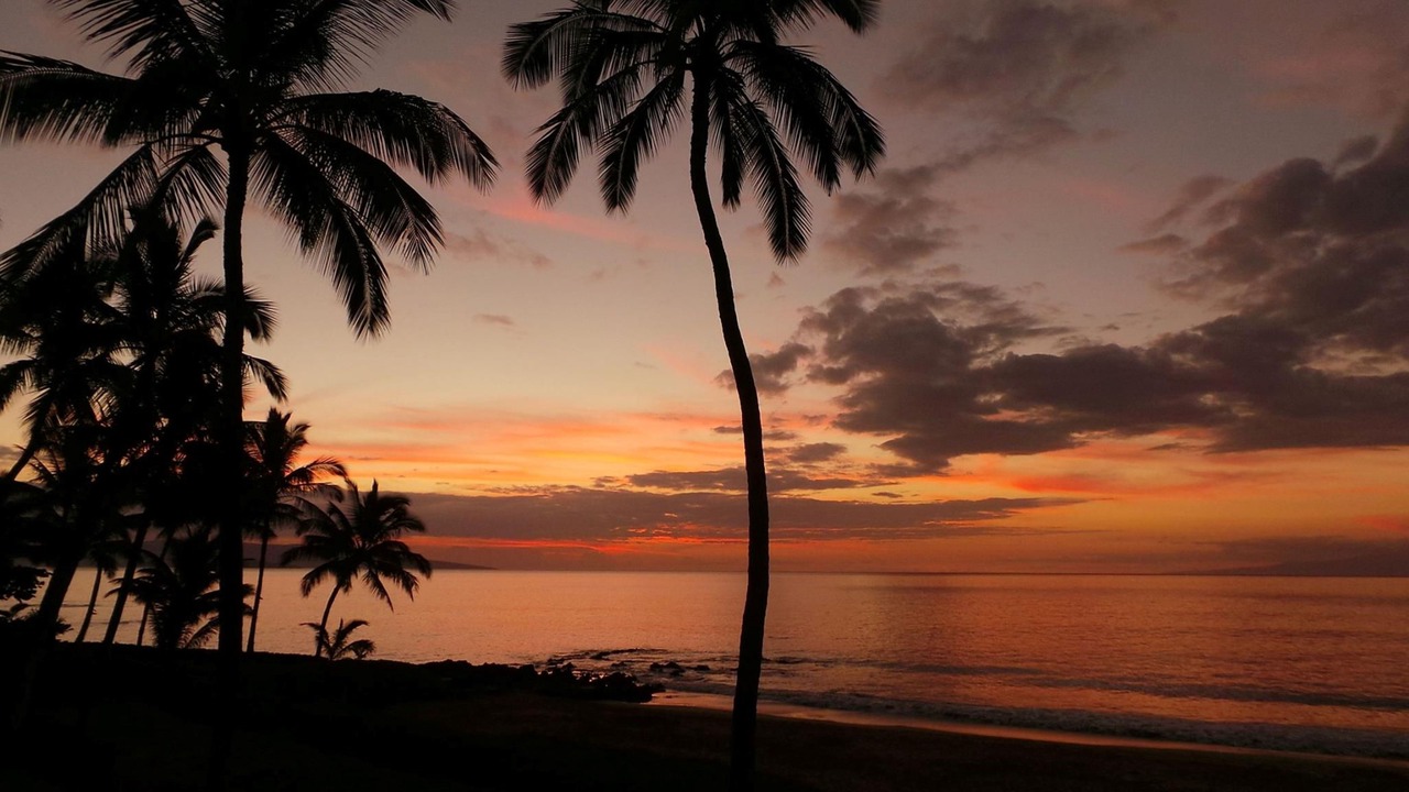 Photo of Others in Wailea