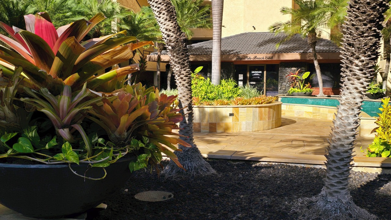 Photo of Others in Wailea