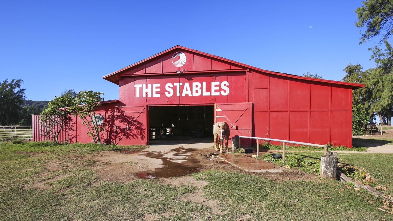 Photo of Outdoor in Kahuku