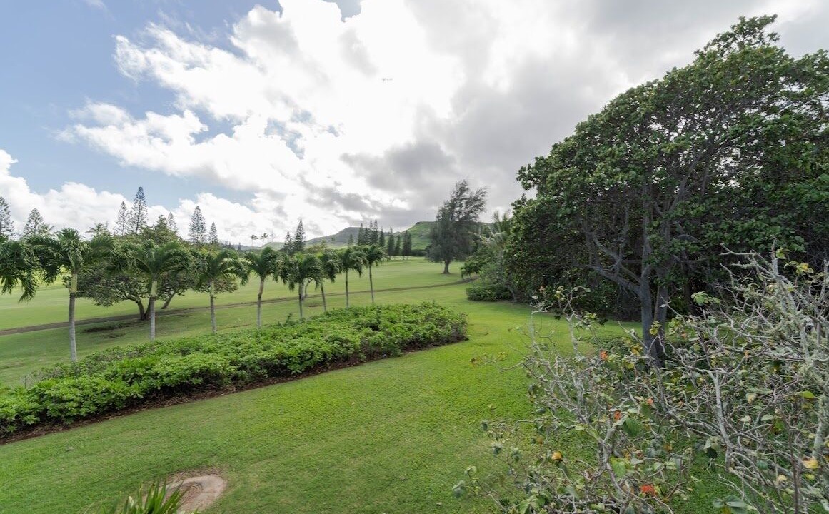 Photo of Outdoor in Kahuku