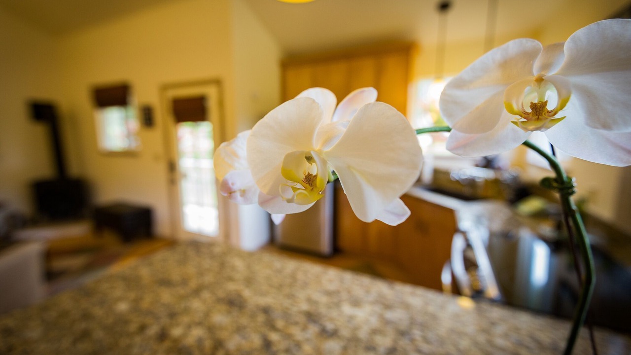 Photo of Others in Royal Hawaiian Estates