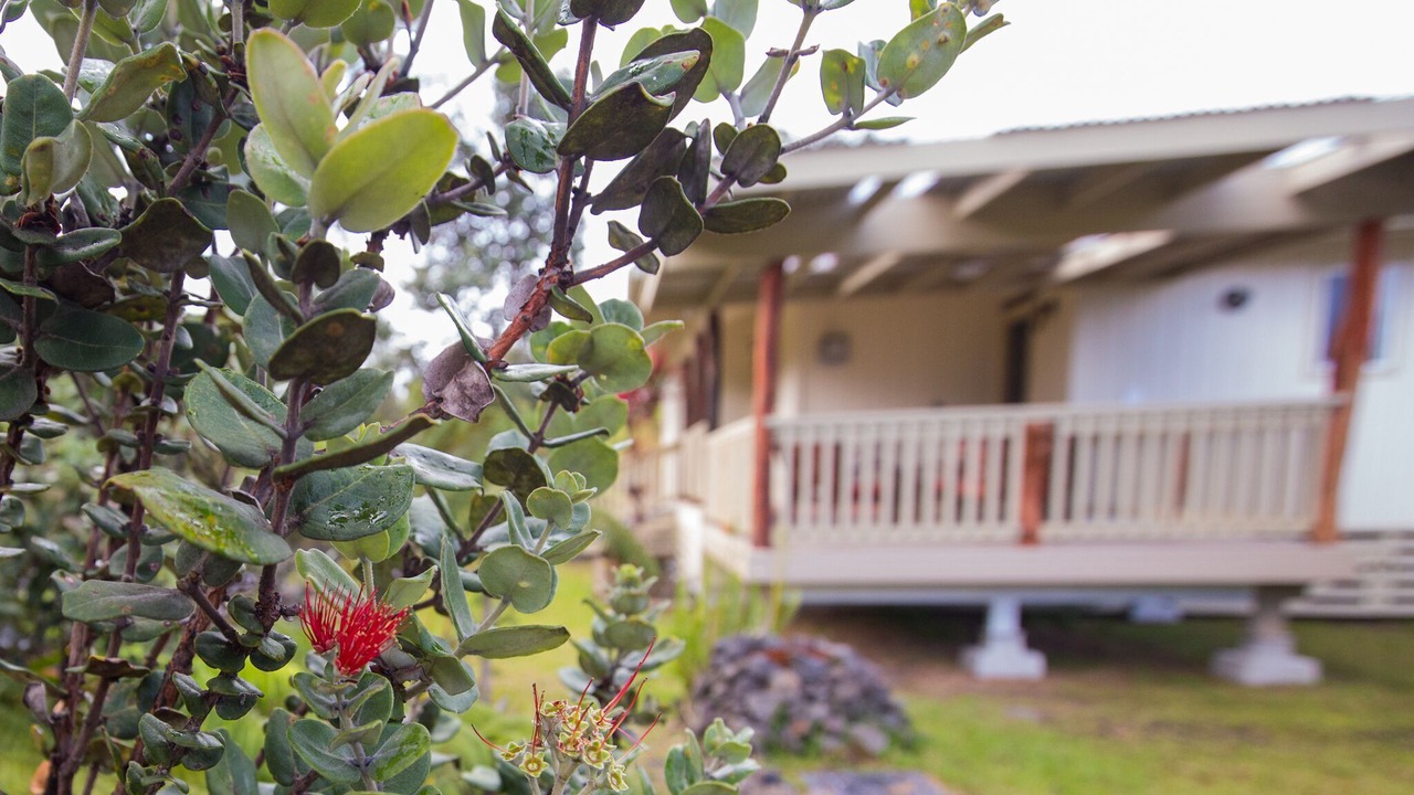 Photo of Outdoor in Royal Hawaiian Estates