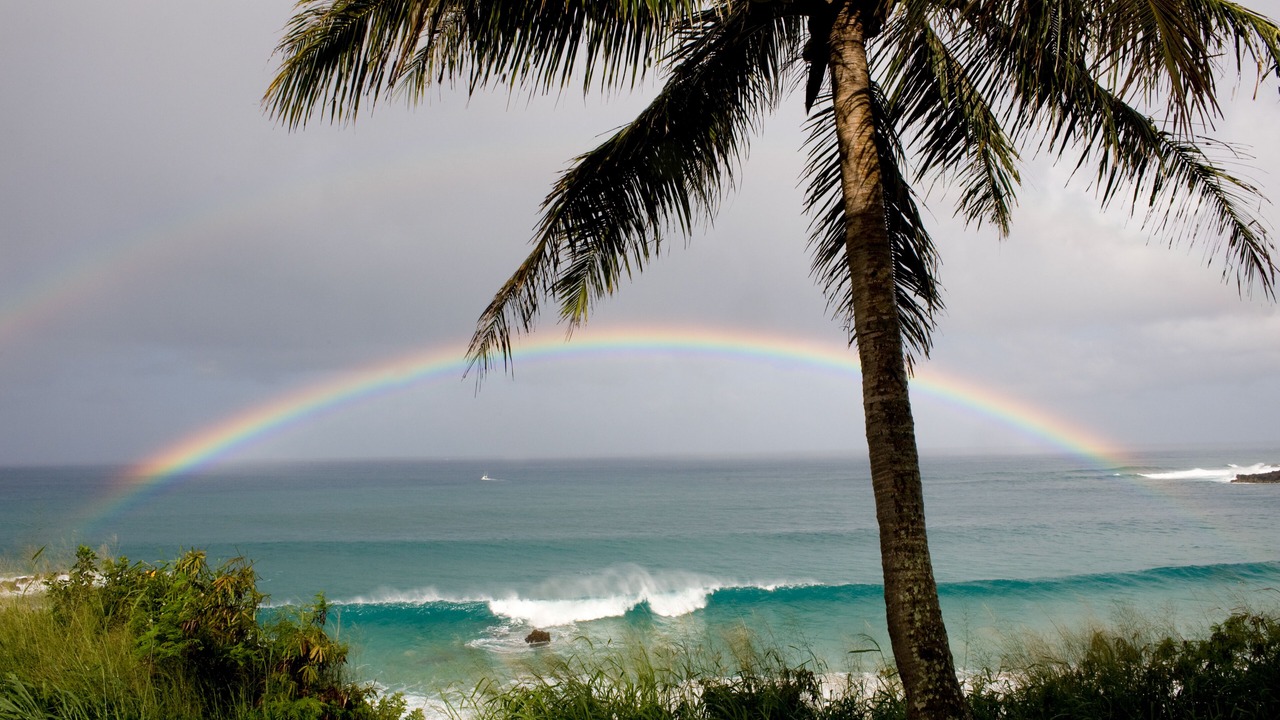 Photo of Others in Pupukea