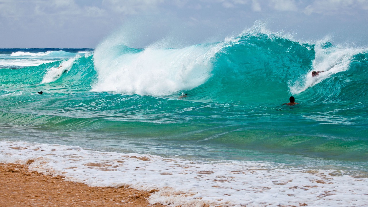 Photo of Others in Pupukea