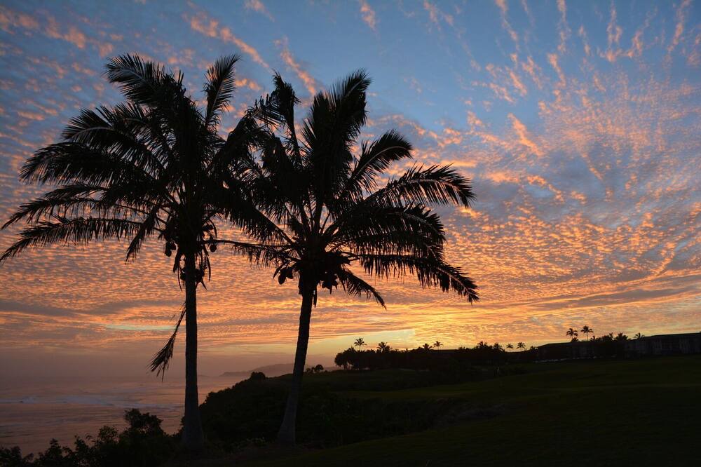 Photo of Others in Wailua